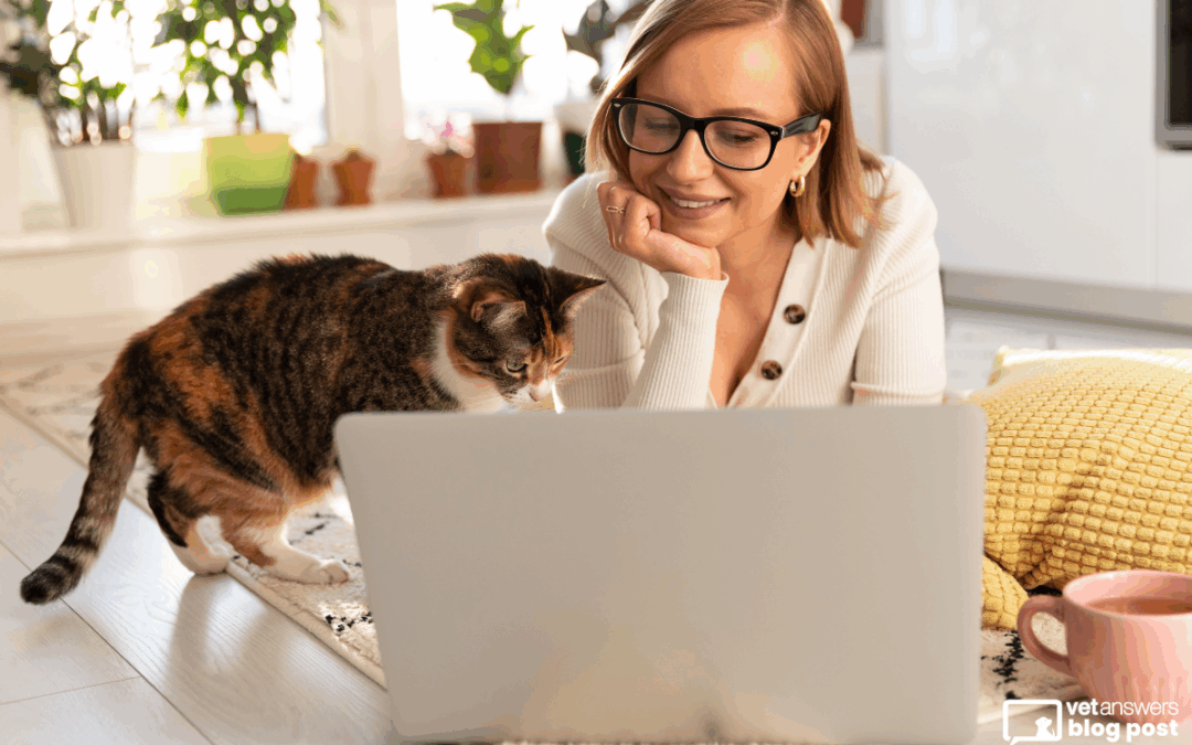 Your Veterinary Website Needs a Wellness Plan Too: 8 Key Updates to Make Often